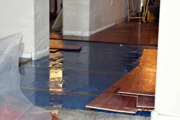 Professional Sewage Cleanup technician working in Grandy, NC